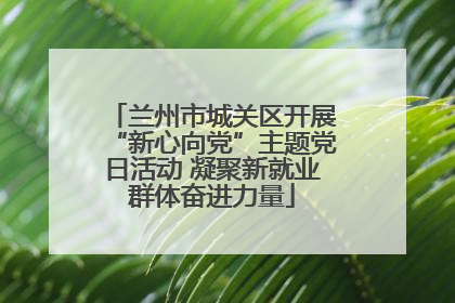 兰州市城关区开展“新心向党”主题党日活动 凝聚新就业群体奋进力量