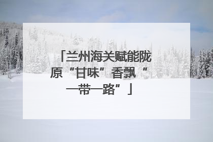 兰州海关赋能陇原“甘味”香飘“一带一路”