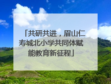 共研共进，眉山仁寿城北小学共同体赋能教育新征程