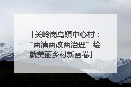 关岭岗乌镇中心村：“两清两改两治理”绘就美丽乡村新画卷