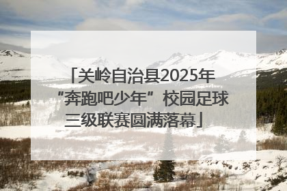 关岭自治县2025年“奔跑吧少年”校园足球三级联赛圆满落幕