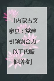 内蒙古突泉县：党建引领聚合力 以工代赈促增收