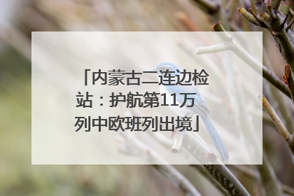 内蒙古二连边检站：护航第11万列中欧班列出境