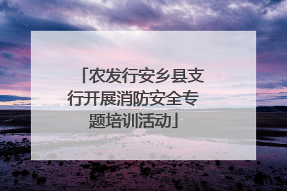 农发行安乡县支行开展消防安全专题培训活动