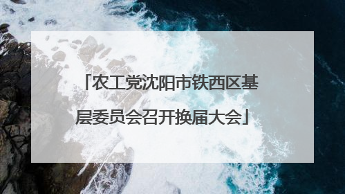 农工党沈阳市铁西区基层委员会召开换届大会