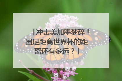 冲击美加墨梦碎！国足距离世界杯的距离还有多远？