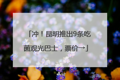 冲！昆明推出9条吃菌观光巴士，票价→