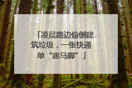 凌晨路边偷倒建筑垃圾，一张快递单“露马脚”