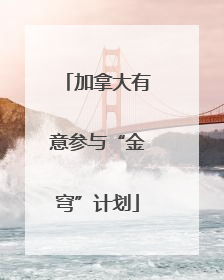 加拿大有意参与“金穹”计划