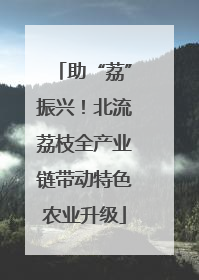 助“荔”振兴！北流荔枝全产业链带动特色农业升级