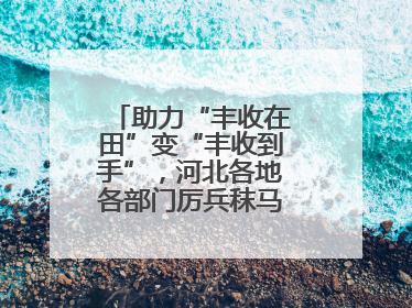 助力“丰收在田”变“丰收到手”，河北各地各部门厉兵秣马迎战“三夏”