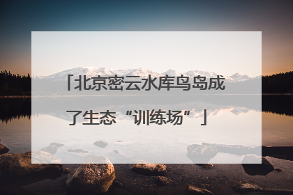 北京密云水库鸟岛成了生态“训练场”