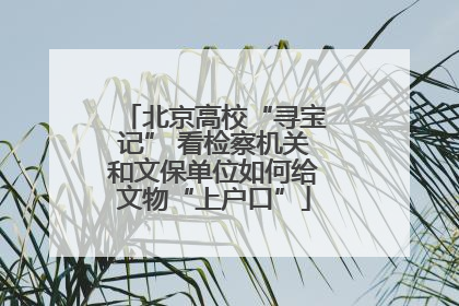 北京高校“寻宝记” 看检察机关和文保单位如何给文物“上户口”