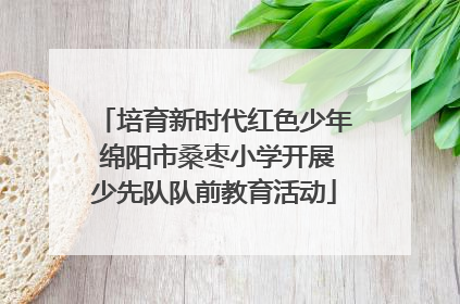 培育新时代红色少年 绵阳市桑枣小学开展少先队队前教育活动
