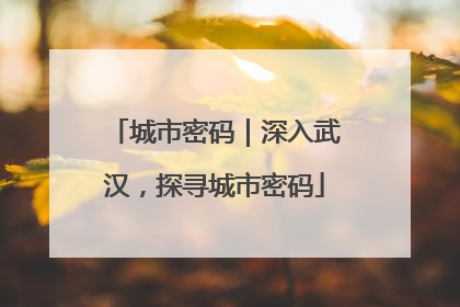 城市密码｜深入武汉，探寻城市密码