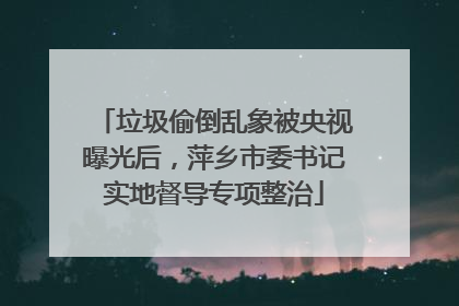 垃圾偷倒乱象被央视曝光后，萍乡市委书记实地督导专项整治