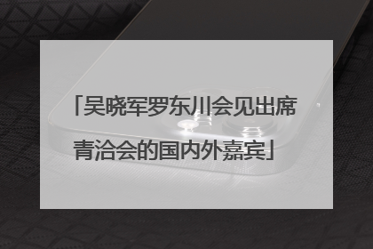 吴晓军罗东川会见出席青洽会的国内外嘉宾