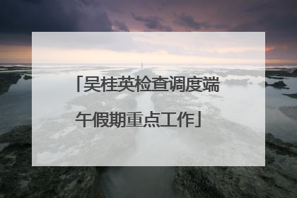 吴桂英检查调度端午假期重点工作