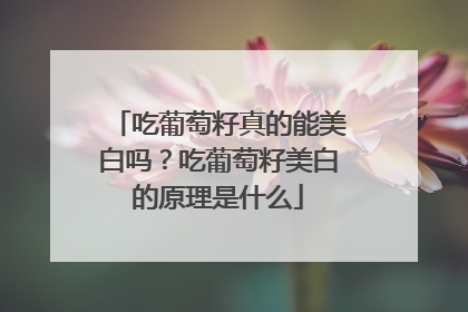吃葡萄籽真的能美白吗？吃葡萄籽美白的原理是什么
