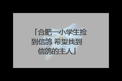 合肥一小学生捡到信鸽 希望找到信鸽的主人