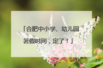 合肥中小学、幼儿园暑假时间，定了！