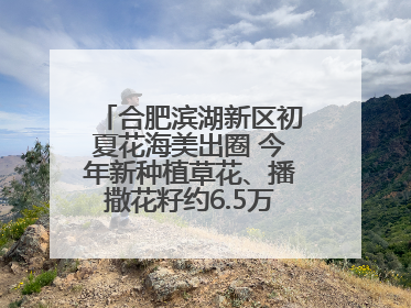 合肥滨湖新区初夏花海美出圈 今年新种植草花、播撒花籽约6.5万平方米