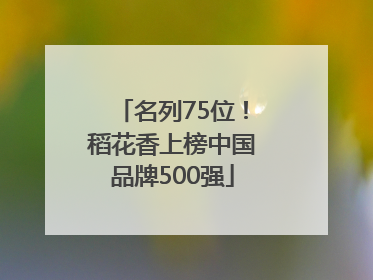 名列75位！稻花香上榜中国品牌500强