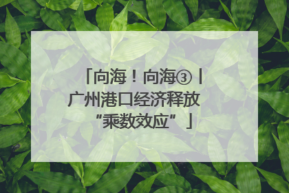 向海！向海③丨广州港口经济释放“乘数效应”