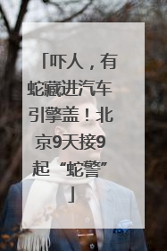 吓人，有蛇藏进汽车引擎盖！北京9天接9起“蛇警”