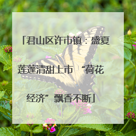 君山区许市镇：盛夏莲蓬清甜上市 “荷花经济”飘香不断