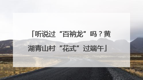 听说过“百衲龙”吗？黄湖青山村“花式”过端午
