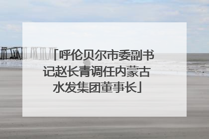 呼伦贝尔市委副书记赵长青调任内蒙古水发集团董事长