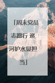 周末党员志愿行 巡河护水显担当