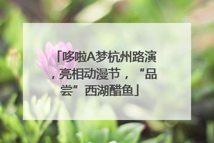 哆啦A梦杭州路演，亮相动漫节，“品尝”西湖醋鱼