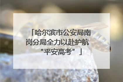 哈尔滨市公安局南岗分局全力以赴护航“平安高考”
