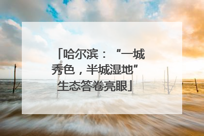 哈尔滨：“一城秀色，半城湿地”生态答卷亮眼