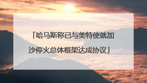 哈马斯称已与美特使就加沙停火总体框架达成协议