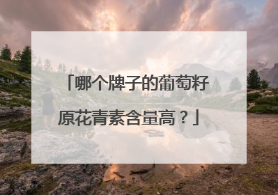 哪个牌子的葡萄籽原花青素含量高？