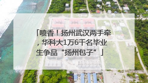 喷香！扬州武汉两手牵，华科大1万6千名毕业生争品“扬州包子”