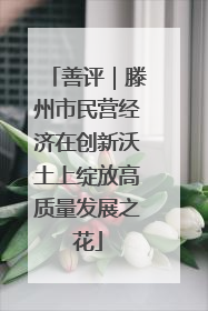 善评｜滕州市民营经济在创新沃土上绽放高质量发展之花