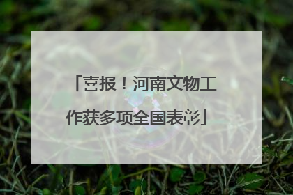 喜报！河南文物工作获多项全国表彰
