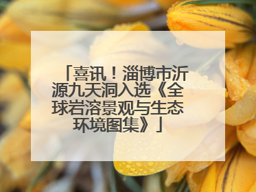 喜讯！淄博市沂源九天洞入选《全球岩溶景观与生态环境图集》