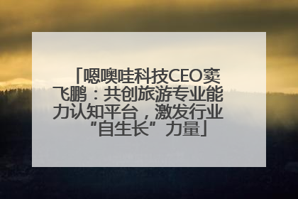 嗯噢哇科技CEO窦飞鹏：共创旅游专业能力认知平台，激发行业“自生长”力量