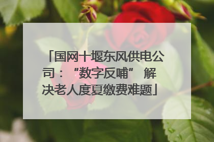 国网十堰东风供电公司：“数字反哺” 解决老人度夏缴费难题