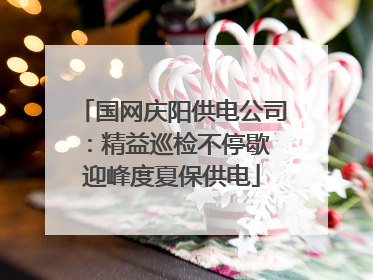 国网庆阳供电公司：精益巡检不停歇 迎峰度夏保供电