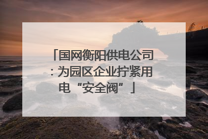 国网衡阳供电公司：为园区企业拧紧用电“安全阀”