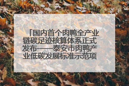 国内首个肉鸭全产业链碳足迹核算体系正式发布——泰安市肉鸭产业低碳发展标准示范项目顺利通过验收
