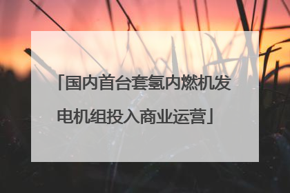 国内首台套氢内燃机发电机组投入商业运营