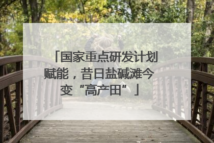 国家重点研发计划赋能，昔日盐碱滩今变“高产田”