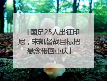 国足25人出征印尼，宋凯督战目标把悬念带回重庆
